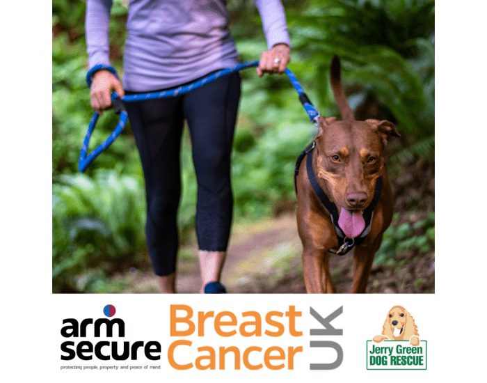 ARM Secure Plan 20K Charity Walk