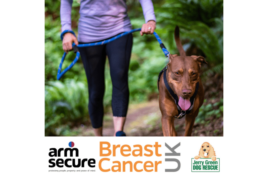 keyholding services charity dog walk